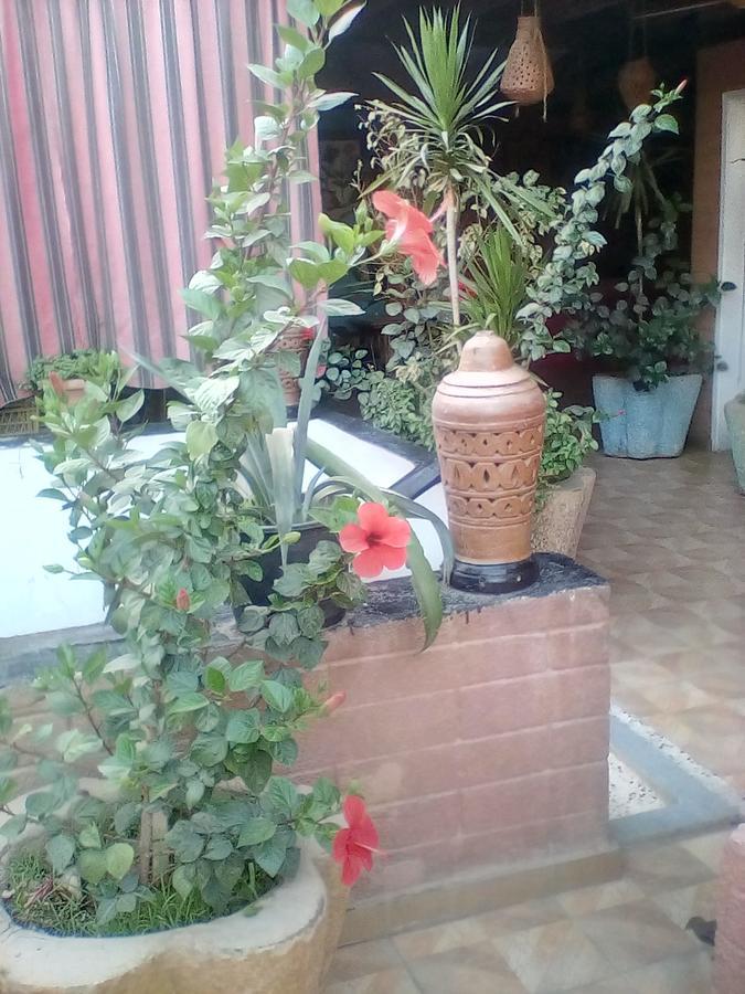 Happy Land Auberge de jeunesse *